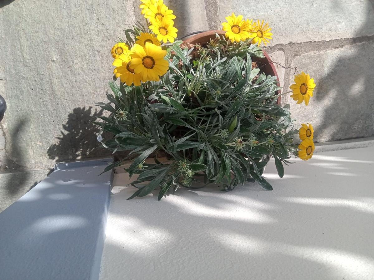 Guesthouse Kallisti Anilio Pelion Екстер'єр фото