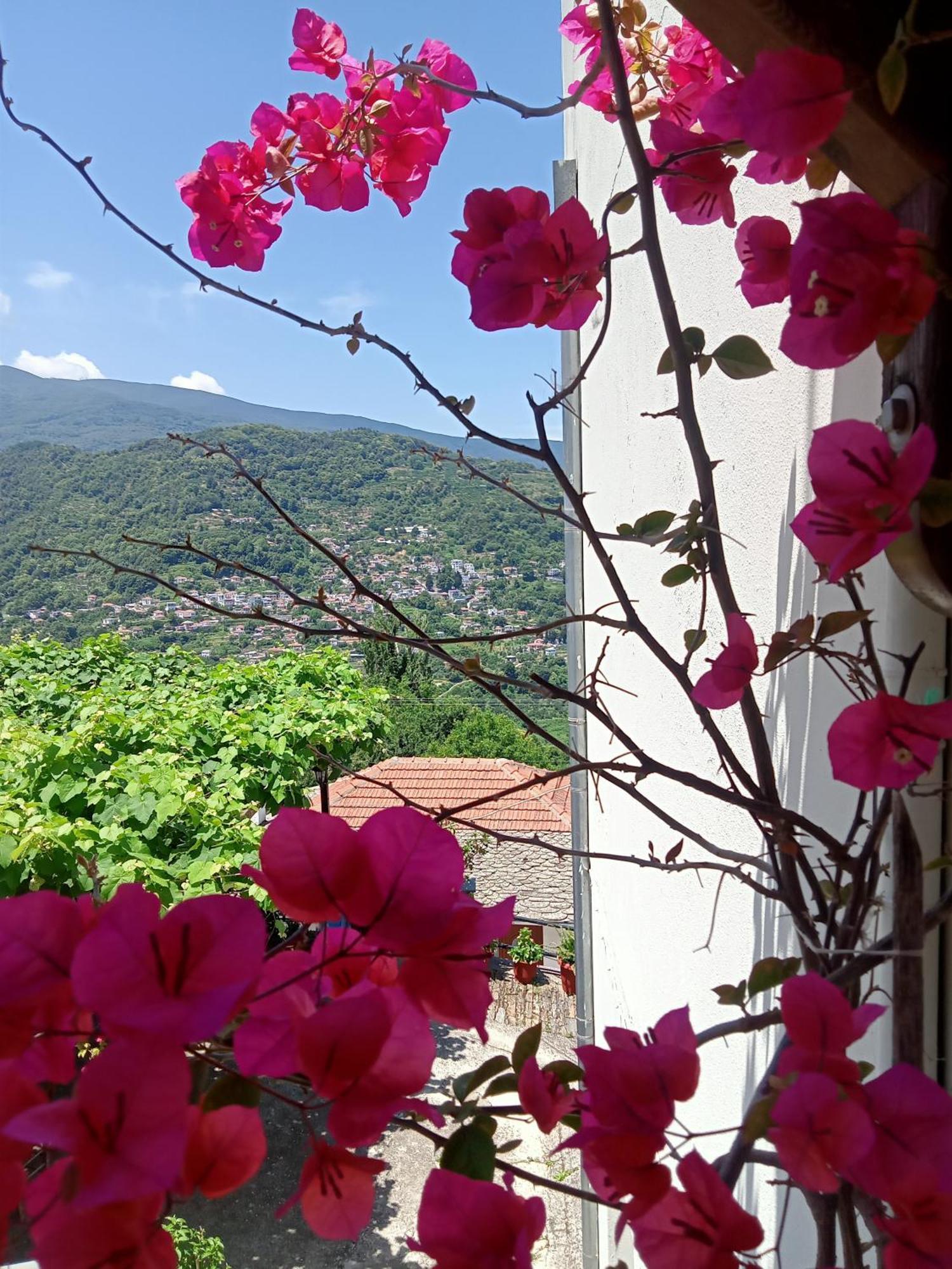 Guesthouse Kallisti Anilio Pelion Екстер'єр фото